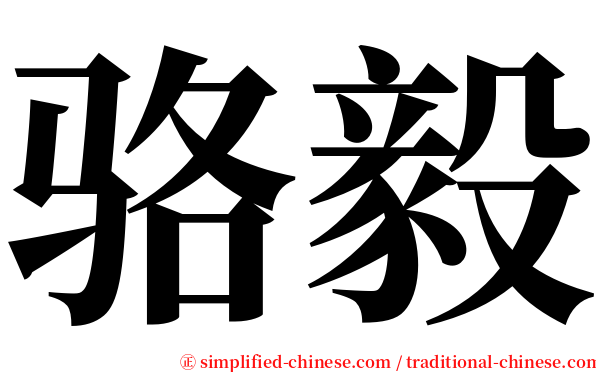 骆毅 serif font