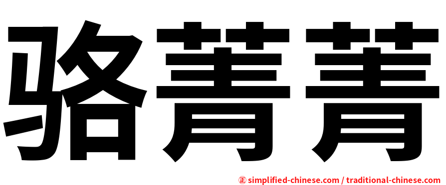 骆菁菁
