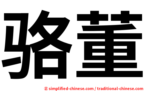 骆董