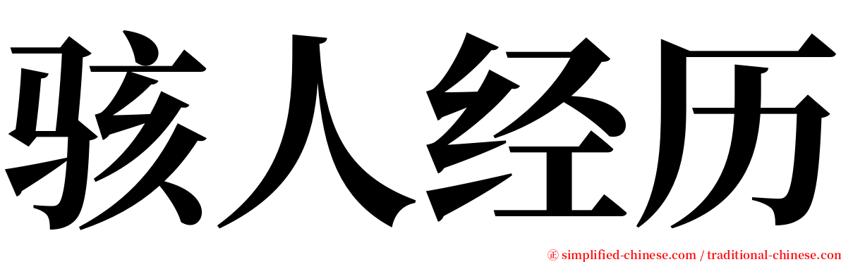 骇人经历 serif font