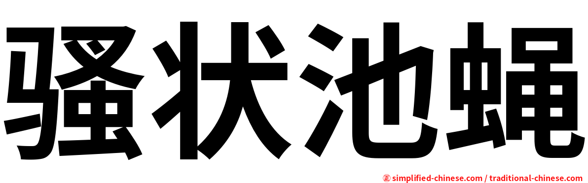 骚状池蝇