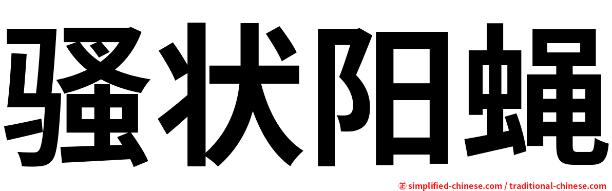 骚状阳蝇