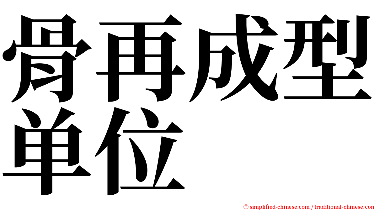 骨再成型单位 serif font