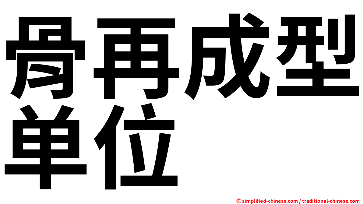 骨再成型单位