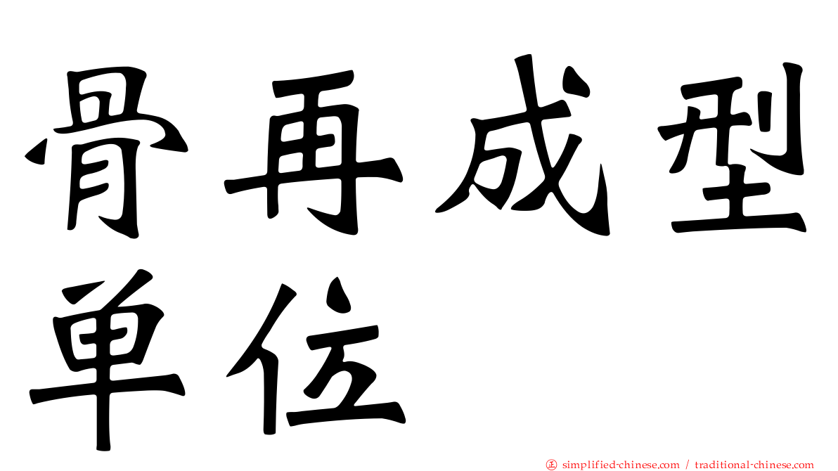 骨再成型单位