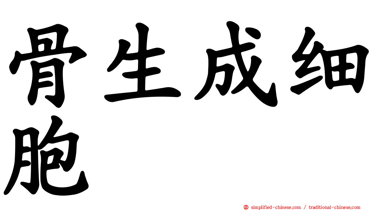骨生成细胞