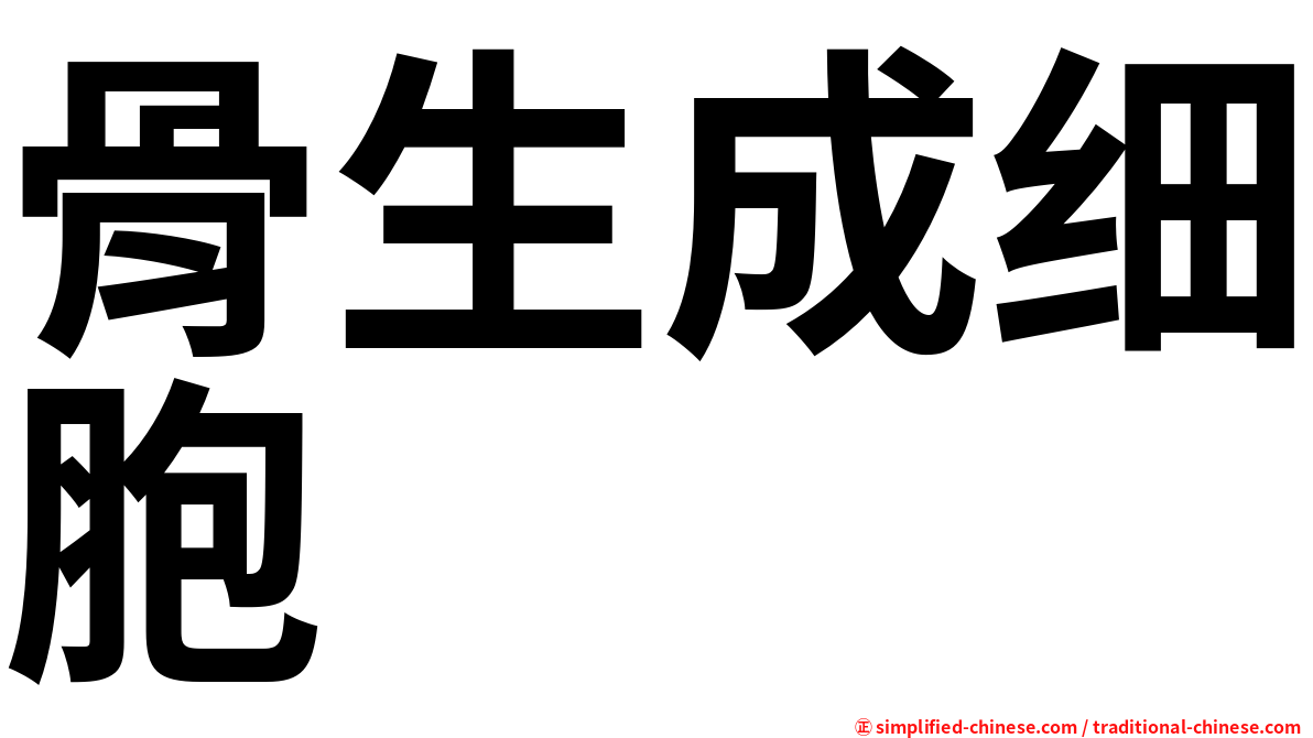 骨生成细胞