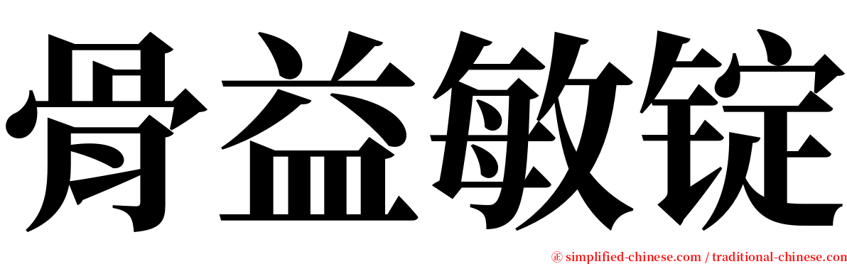骨益敏锭 serif font