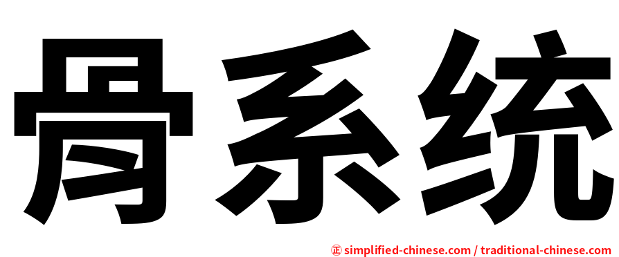 骨系统
