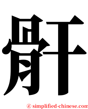 骭 serif font