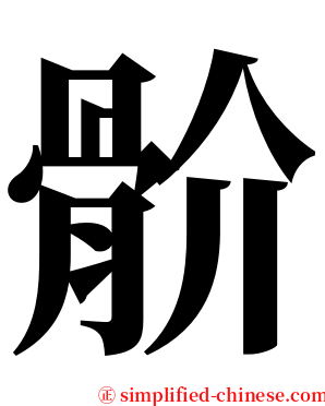 骱 serif font