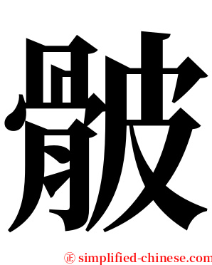 骳 serif font