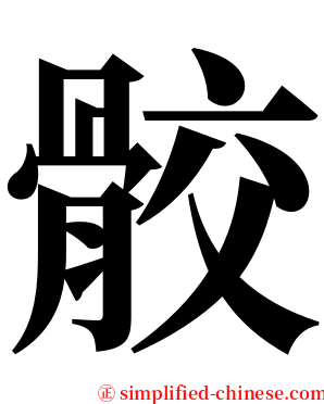 骹 serif font