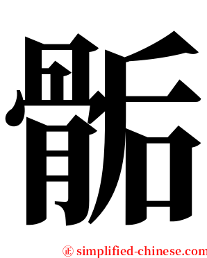 骺 serif font