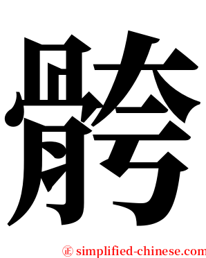 骻 serif font