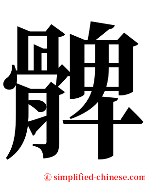 髀 serif font