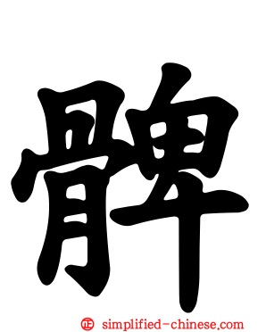 髀