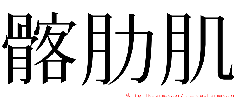 髂肋肌 ming font