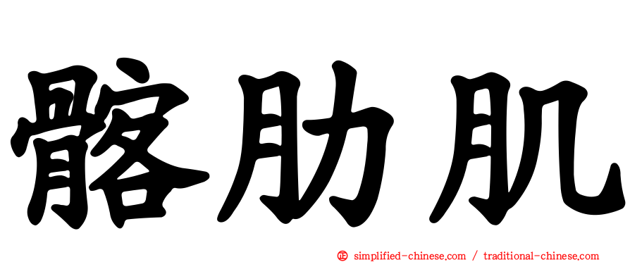 髂肋肌