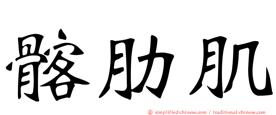 髂肋肌