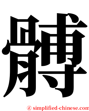 髆 serif font