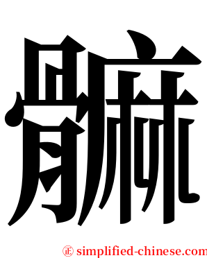 髍 serif font