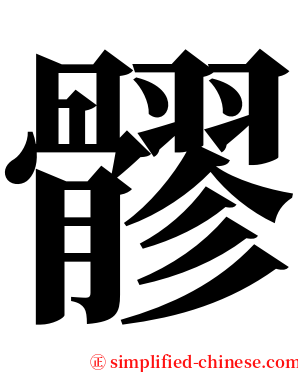 髎 serif font