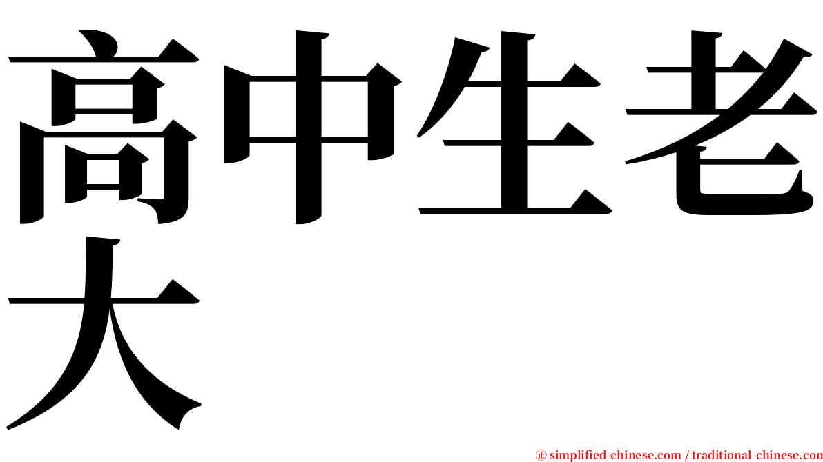 高中生老大 serif font