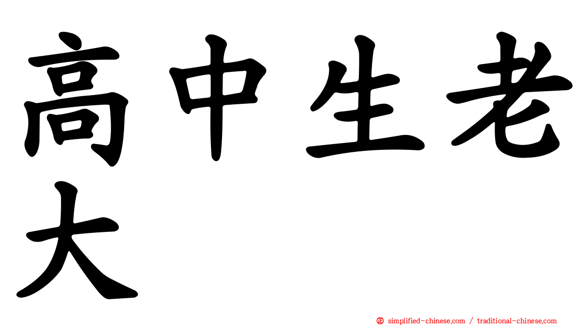 高中生老大