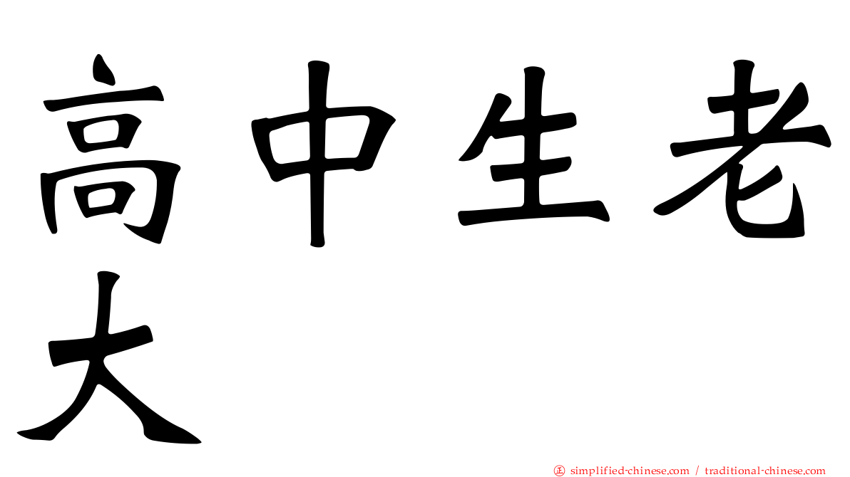高中生老大