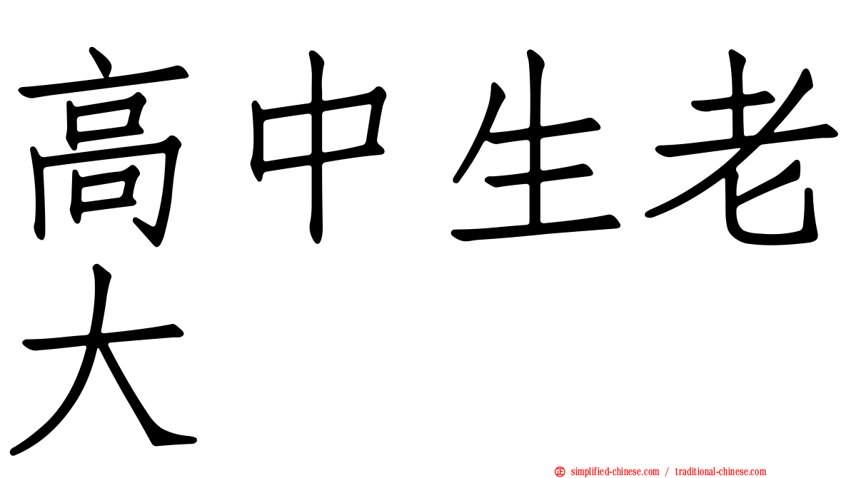 高中生老大