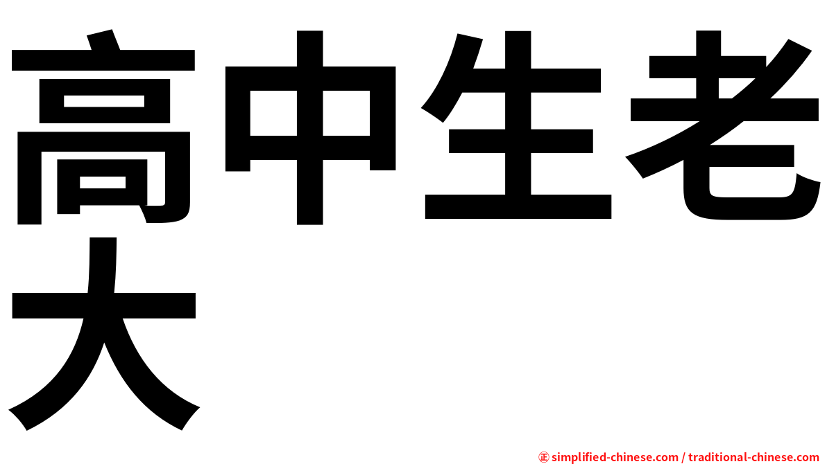 高中生老大