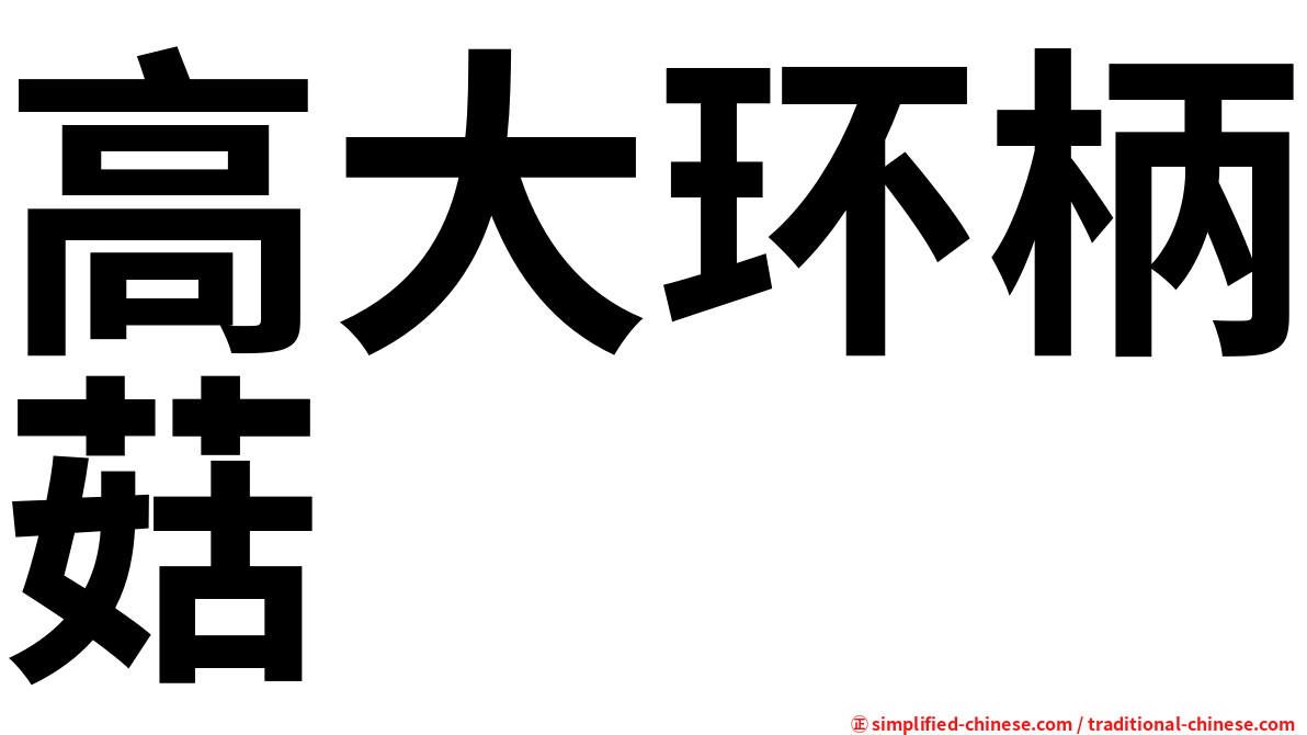 高大环柄菇