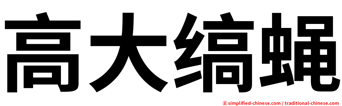 高大缟蝇