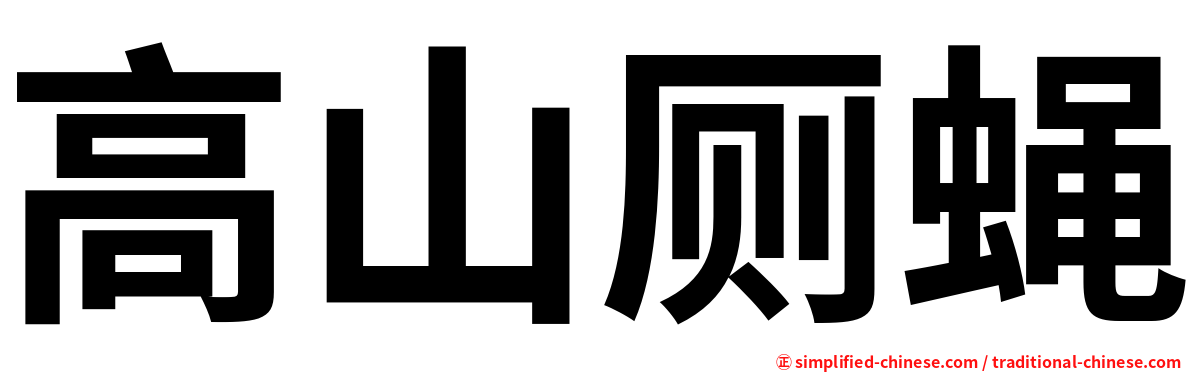 高山厕蝇