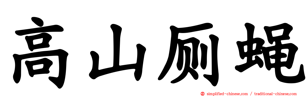 高山厕蝇