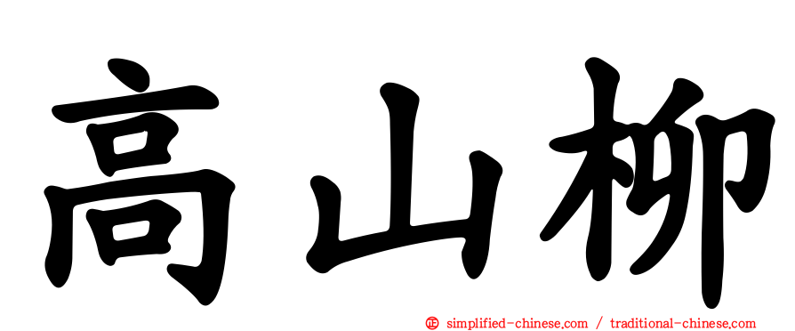 高山柳