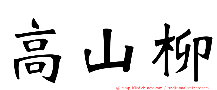 高山柳