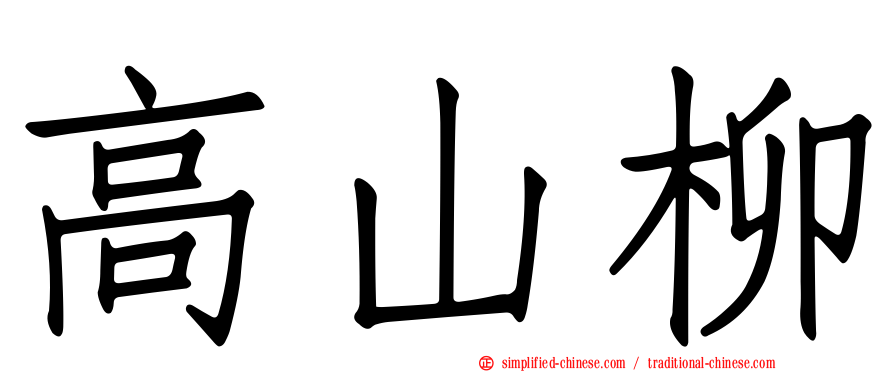 高山柳