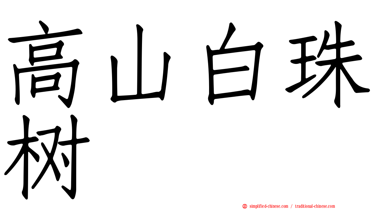 高山白珠树