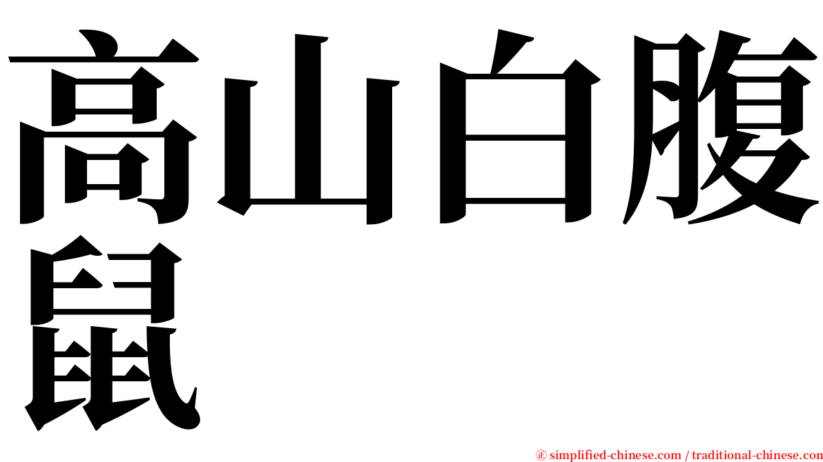 高山白腹鼠 serif font