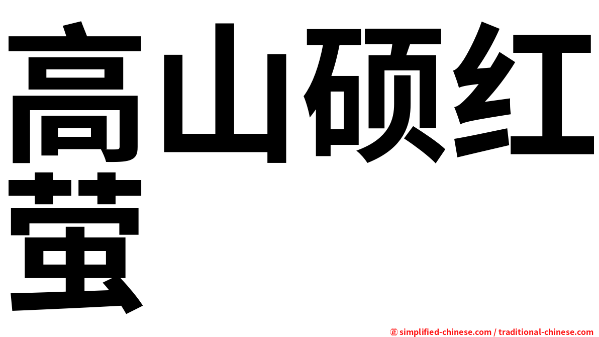高山硕红萤