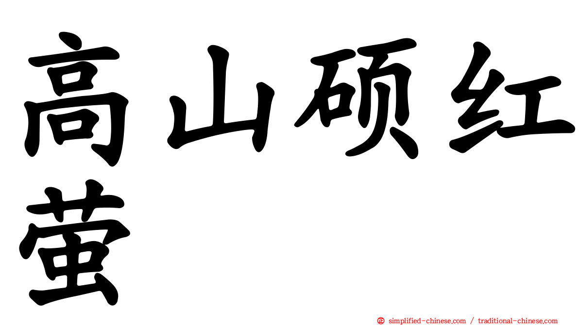 高山硕红萤
