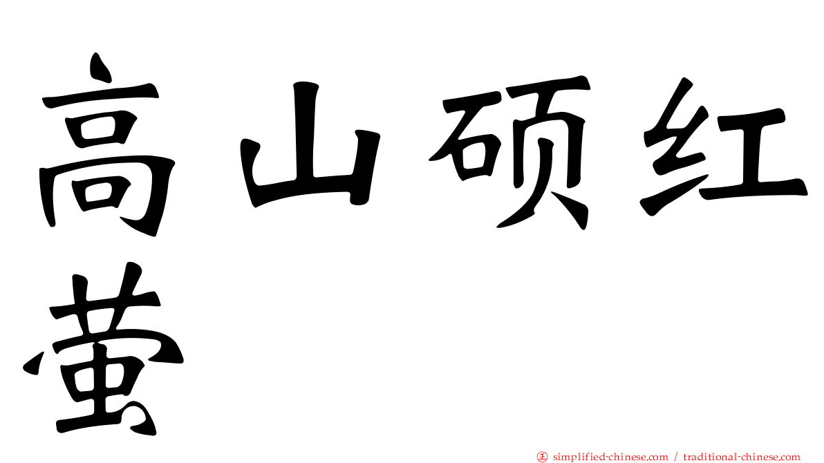 高山硕红萤
