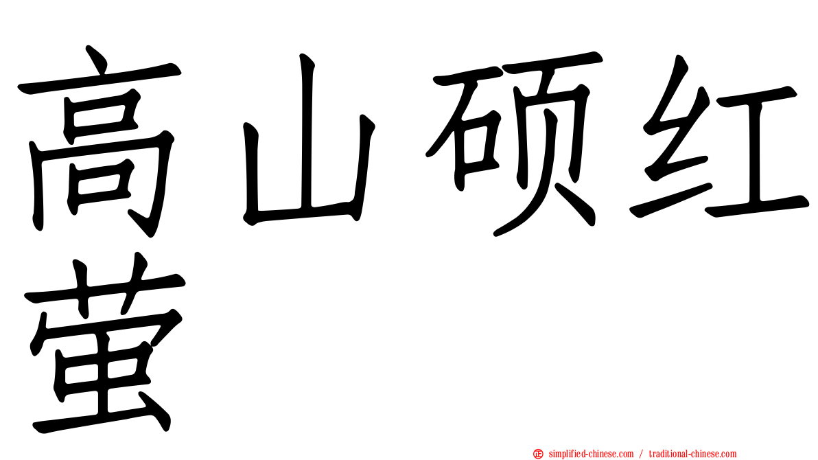 高山硕红萤