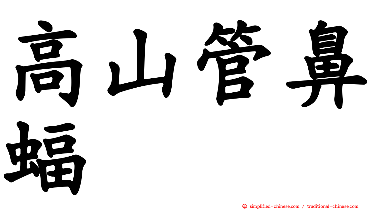 高山管鼻蝠