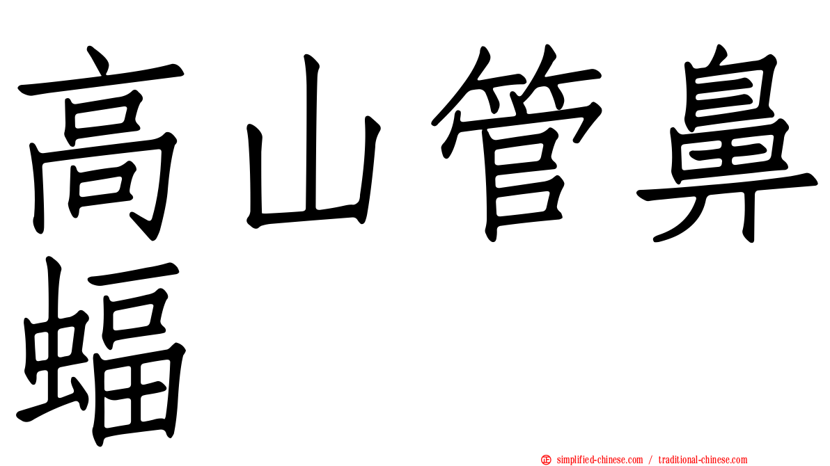 高山管鼻蝠