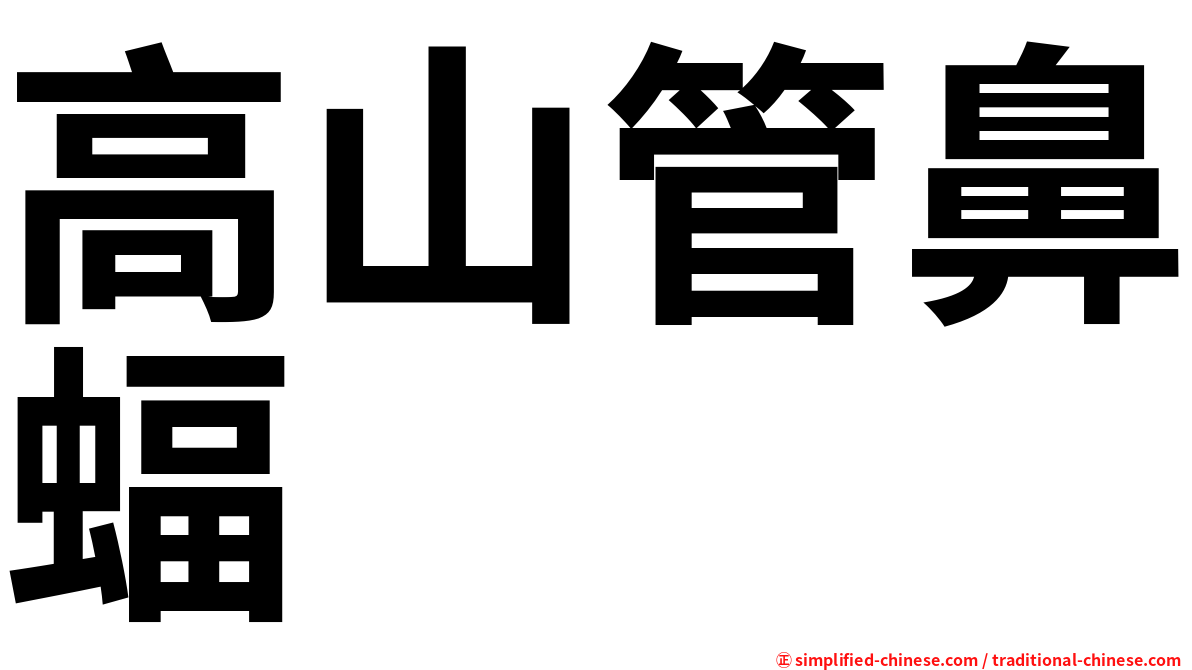 高山管鼻蝠