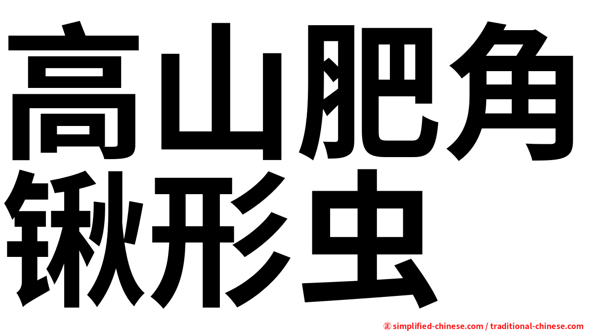 高山肥角锹形虫