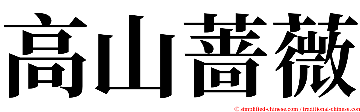 高山蔷薇 serif font